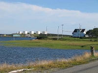 ov0147.jpg