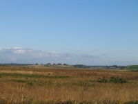 pembroke-0006.JPG