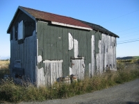 pembroke-0012.JPG