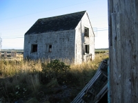 pembroke-0013.JPG