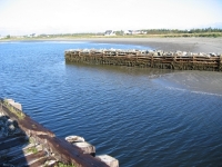 pembroke-0017.JPG