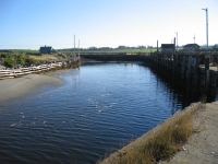 pembroke-0018.JPG