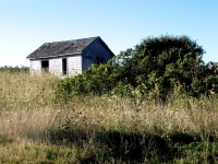 pembroke-0026.JPG