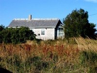 pembroke-0034.JPG