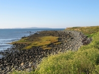 pembroke-0036.JPG