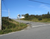 pembroke-0056.JPG