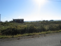 pembroke-0064.JPG