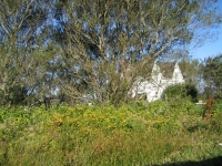 pembroke-0067.JPG