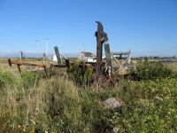 pembroke-0073.JPG