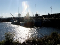 pembroke-0074.JPG