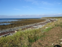 pembroke-0076.JPG