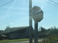 pembroke-0079.JPG