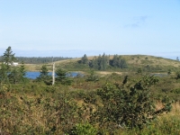 pembroke-0101.JPG