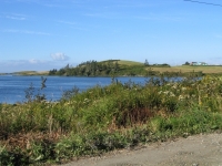 pembroke-0108.JPG