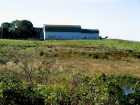 pembroke-0109.JPG