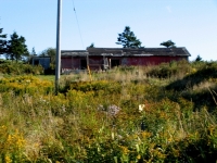 pembroke-0112.JPG