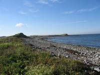 pembroke-0115.JPG