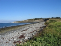 pembroke-0116.JPG