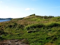 pembroke-0118.JPG