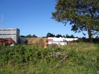 pembroke-0158.JPG