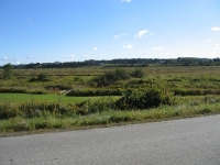 pembroke-0186.JPG