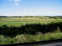 pembroke-0187.JPG