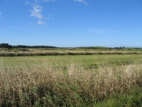 pembroke-0190.JPG