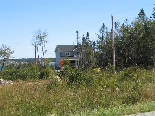 pub-1116.JPG