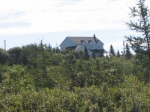 t_pub-0117.jpg