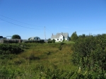 t_pub-0136.jpg