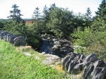 t_pub-0154.jpg
