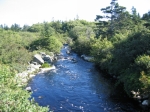 t_pub-0158.jpg
