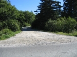 t_pub-0163.jpg
