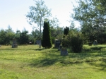 t_pub-0172.jpg