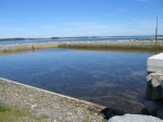 t_pub-0268.jpg