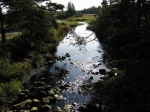 t_pub-0404.jpg