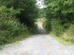 t_pub-0513.jpg
