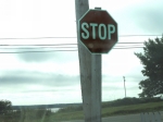 t_pub-0515.jpg