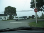 t_pub-0575.jpg