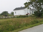 t_pub-0605.jpg