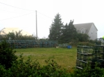 t_pub-0689.jpg