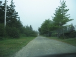 t_pub-0762.jpg