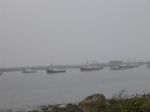 t_pub-0812.jpg