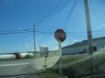 t_pub-0883.jpg