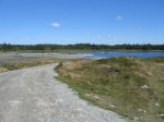 t_pub-0935.jpg