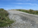 t_pub-0937.jpg