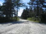 t_pub-0955.jpg