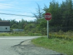 t_pub-0994.jpg