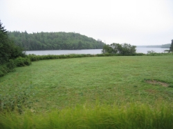q-0018.JPG