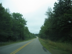q-0115.JPG